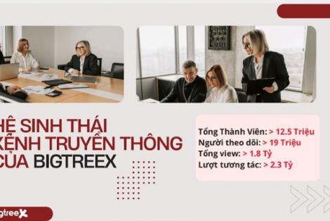 BigTreeX đã biến tham vọng trở thành “kiến trúc sư narrative’ của thị trường tài chính như thế nào?