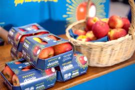 TÁO DAZZLE ORGANIC – Giống táo hữu cơ hấp dẫn và mới nhất của New Zealand chính thức ra mắt tại thị trường Việt Nam