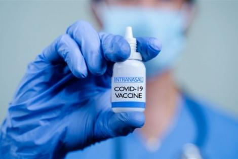 Ấn Độ cấp phép sử dụng khẩn cấp vaccine nhỏ mũi ngừa Covid-19