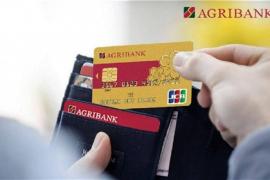 Đẩy mạnh phát triển thẻ tín dụng nội địa