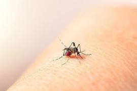 6 quan niệm sai lầm về bệnh sốt xuất huyết