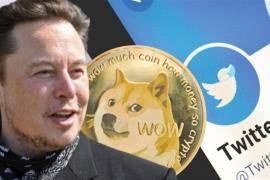 Elon Musk có thể từ chức CEO Twitter, đồng DOGE giảm mạnh