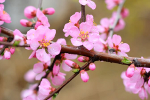 Thị trường chứng khoán Việt Nam thường diễn biến ra sao trong tháng 2?