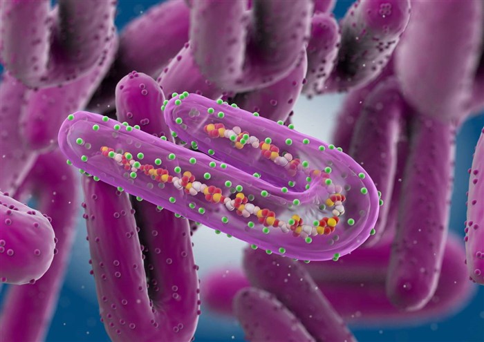 Việc kiểm soát bùng phát dịch bệnh do virus Marburg dựa vào việc sử dụng một loạt các biện pháp can thiệp, cụ thể là quản lý ca bệnh, giám sát bao gồm truy tìm người tiếp xúc.