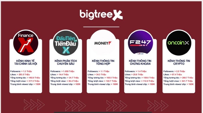 Các kênh thông tin chuyên biệt do BigTreeX sở hữu không chỉ tạo ra các câu chuyện về dòng tiền mà còn giữ vai trò dẫn đường thị trường và kiến tạo niềm tin cho các nhà đầu tư.