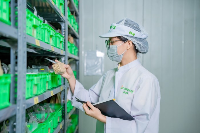 Việc làm chủ công nghệ chọn tạo giống cho phép Vinasoy chủ động tạo ra các giống đậu nành không biến đổi gen, tối ưu hàm lượng dinh dưỡng và các hoạt chất sinh học quý giá và phù hợp với từng vùng khí hậu của Việt Nam