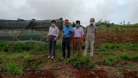 Tạo hành lang pháp lý để bảo tồn và phát triển dược liệu